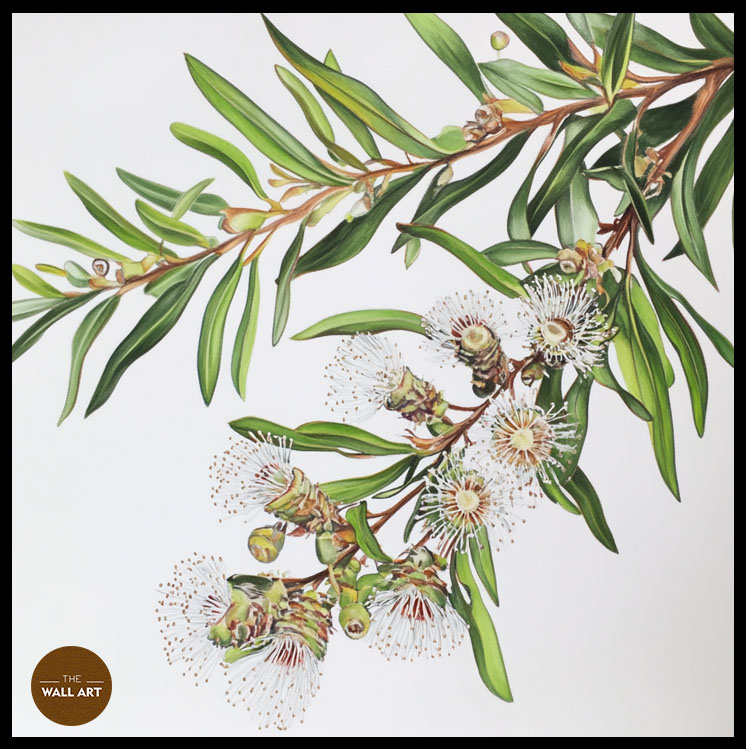 images/products/australian_melaleu_flowers/Australian_Melaleu Flowers_BLACK_P.jpg